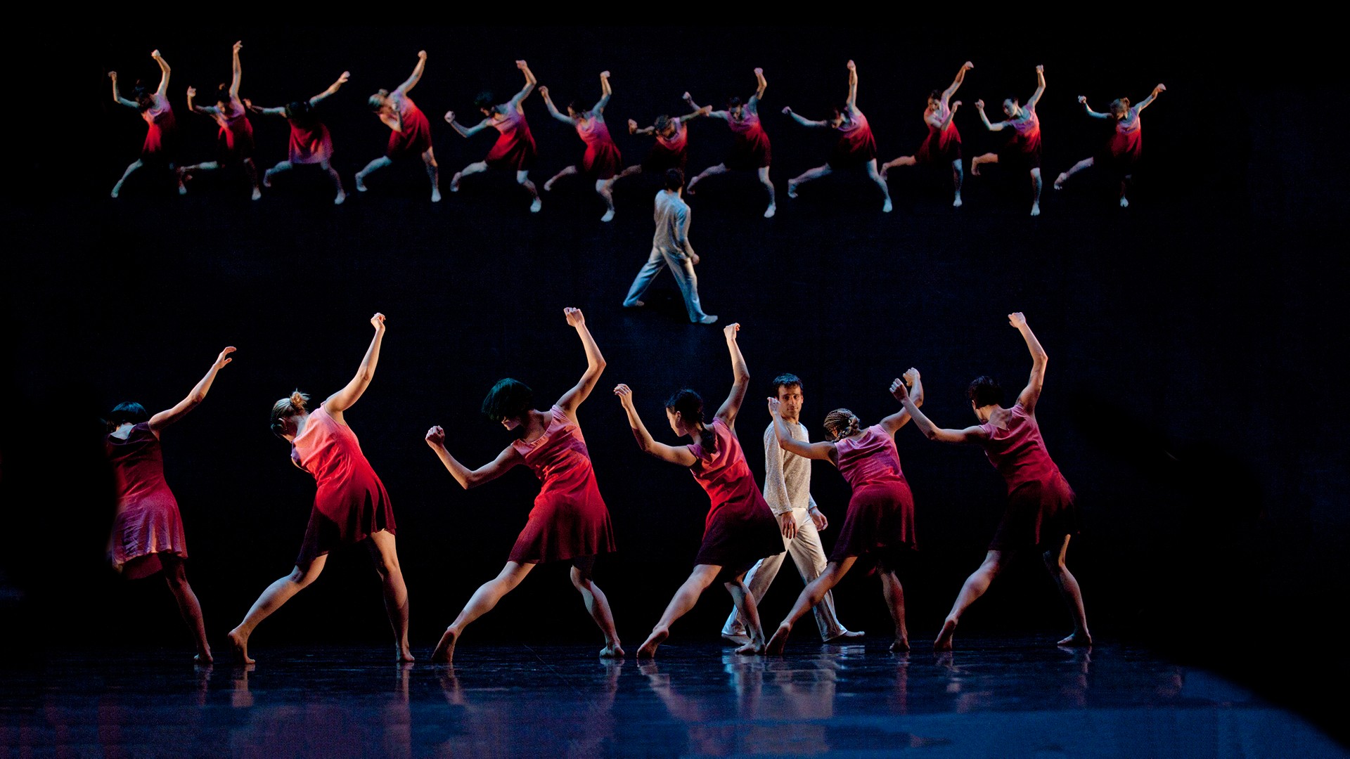 Danse Contemporaine Les Grands Ballets Canadiens