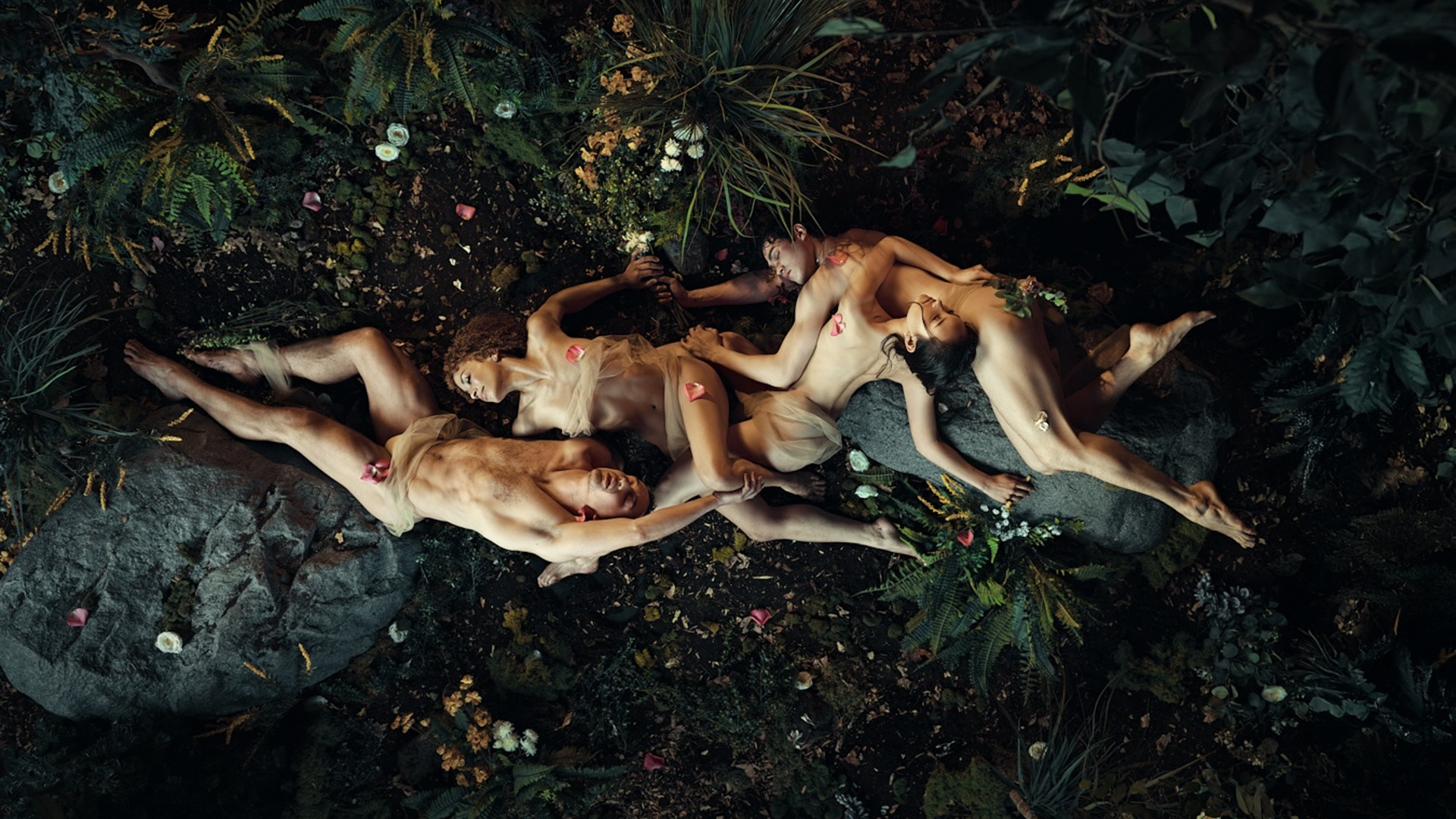 Midsummer Night Dreams